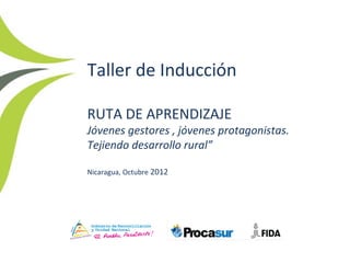 Taller de Inducción

RUTA DE APRENDIZAJE
Jóvenes gestores , jóvenes protagonistas.
Tejiendo desarrollo rural”

Nicaragua, Octubre 2012
 