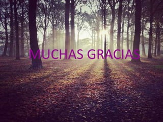 MUCHAS GRACIAS
 