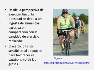Desde la perspectiva del ejercicio físico, la obesidad se debe  a una ingesta de alimentos excesiva en comparación con la cantidad de ejercicio realizado. El ejercicio físico sensibiliza al adipocito para favorecer el catabolismo de las grasas http://img.vitonica.com/2008/10/obesidad+ejercicio.jpg Figura 4  