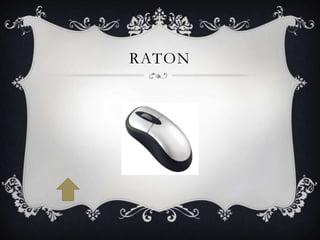 RATON
 