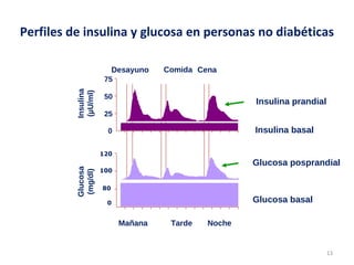 Perfiles de insulina y glucosa en personas no diabéticas 
13 
Desayuno Comida Cena 
75 
50 
25 
0 Insulina basal 
Insulina prandial 
Glucosa posprandial 
Mañana Tarde Noche 
Glucosa basal 
Insulina 
(μU/ml) 
Glucosa 
(mg/dl) 
120 
100 
80 
0 
 