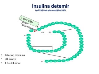 Insulina detemir 
LysB29(N-tetradecanoyl)des(B30) 
• Solución cristalina 
• pH neutro 
• 1 IU= 24 nmol 
Thr 
Glu 
Lys 
Thr 
Tyr 
Phe Phe Gly Arg 
A21 
Phe Val 
Asn 
Glu 
Leu 
Gln 
Tyr 
Leu 
Pro 
Cys Ser Ile Cys Ser 
Gly 
Ile 
Val 
Gln 
Cys 
Glu 
Tyr 
Lys Asn Cys 
Glu 
Gly 
Cys 
Val 
Leu 
Tyr 
Leu 
Ala 
Val 
Leu 
His 
Ser 
Gly 
Cys 
B1 Asn Gln His Leu 
A1 
B29 
C14 graso 
ácido 
(ácido mirístico) 
Thr 
 