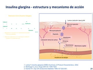 Insulina glargina - estructura y mecanismo de acción 
Estructura de la Insulina Glargina 
Sustitución 
5 10 15 
1. Lantus® (insulin glargine) EMEA Summary of Product Characteristics. 2002. 
2. McKeage K et al. Drugs. 2001;61:1599-1624. 
Extensión 
Cadena A 
Cadena B 
1 
10 15 
20 Asn 
30 
Gly 
Arg Arg 
5 19 25 
1 
· Asparagina en la posición A21 reemplazada por glicina 
– Proporciona estabilidad 
· Adición de 2 argininas en el C terminal de la cadena B 
– Soluble a un pH ligeramente ácido 
Lantus (solución clara) pH4 
Sitio de inyección 
pH 7.4 
Microprecipitación 
Depósito 
Liberación lenta de Lantus 
Hexámeros 
Dímeros 
Monómeros Membrana capilar 
Insulina en la sangre 
1. Lantus® (insulina glargine) EMEA Summary of Product Characteristics. 2002. 
2. McKeage K, et al. Drugs 2001;61:1599-1624. 
3. Kramer W. Exp Clin Endocrinol Diabetes 1999;107:S52-S61. 21 
 