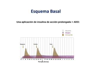 Esquema Basal 
Una aplicación de insulina de acción prolongada + ADO: 
Glucemia 
Desayuno Comida Cena 
6 18 19 20 21 22 23 24 1 2 3 4 
11 9 7 5 13 15 17 10 14 6 8 12 16 
Tiempo (horas) 
Glargina 
 