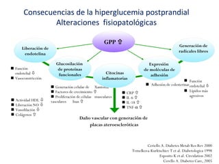 Consecuencias de la hiperglucemia postprandial 
 Función 
endotelial  
 Lípidos más 
agresivos 
Alteraciones fisiopatológicas 
Ceriello A. Diabetes Metab Res Rev 2000 
Temelkova-Kurktschiev T et al. Diabetologica 1998 
Esposito K et al. Circulation 2002 
Cerello A. Diabetes Care, 2005 
Daño vascular con generación de 
placas ateroescleróticas 
Generación de 
radicales libres 
Glucosilación 
de proteínas 
funcionales 
 Actividad HDL  
 Liberación NO  
 Vasodilación  
 Colágenos  
 Generación celular de Xantoma 
 Factores de crecimiento  
 Proliferación de células musculares 
vasculares lisas  
Expresión 
de moléculas de 
adhesión 
 Adhesión de colesterinas 
Liberación de 
endotelina 
 Función 
endotelial  
 Vasoconstricción 
GPP  
Citocinas 
inflamatorias 
 CRP  
 IL-6  
 IL-18  
 TNF-a  
 