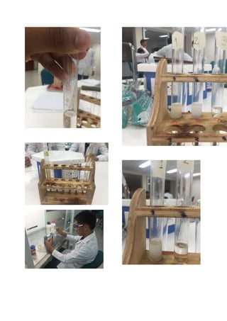 Taller de laboratorio 5