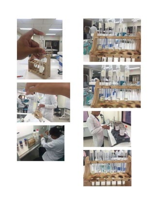 Taller de laboratorio 5