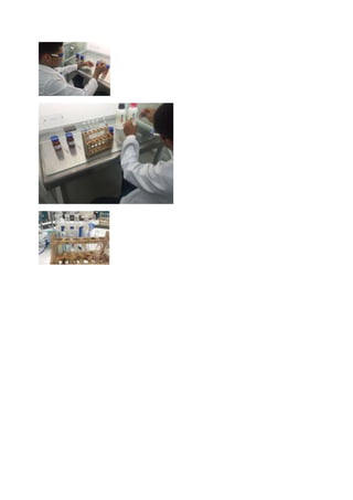 Taller de laboratorio 5