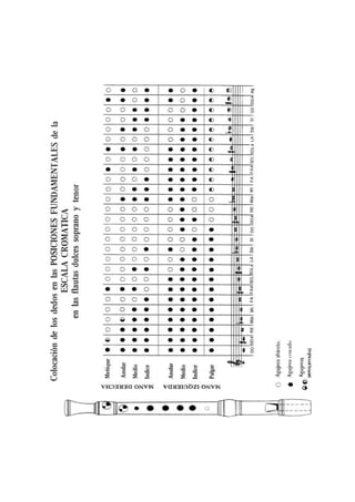 TALLER : Inducción de flauta