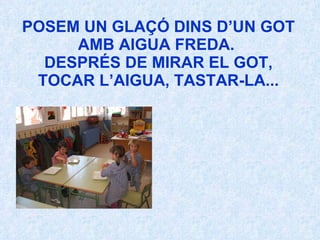 POSEM UN GLAÇÓ DINS D’UN GOT AMB AIGUA FREDA.  DESPRÉS DE MIRAR EL GOT, TOCAR L’AIGUA, TASTAR-LA... 