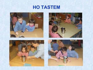 HO TASTEM 
