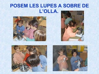 POSEM LES LUPES A SOBRE DE L’OLLA.  