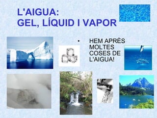 L'AIGUA:  GEL, LÍQUID I VAPOR HEM APRÈS MOLTES COSES DE L'AIGUA! 