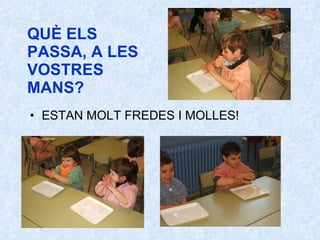 QUÈ ELS PASSA, A LES VOSTRES MANS? ESTAN MOLT FREDES I MOLLES! 