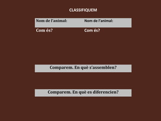 CLASSIFIQUEM

Nom de l’animal:         Nom de l’animal:

Com és?                  Com és?




       Comparem. En què s’assemblen?




      Comparem. En què es diferencien?
 