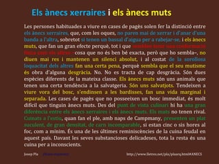 Els ànecs xerraires i els ànecs muts
Les persones habituades a viure en cases de pagès solen fer la distinció entre
els ànecs xerraires, que, com les oques, no paren mai de xerrar i d'anar d'una
banda a l'altra, sobretot si tenen un bassal d'aigua per a rabejar-se, i els ànecs
muts, que fan un gran efecte perquè, tot i que semblen tenir una conformació
física com els altres –cosa que no és ben bé exacta, però que ho sembla–, no
diuen mai res i mantenen un silenci absolut, i al costat de la sorollosa
loquacitat dels altres fan una certa pena, perquè sembla que el seu mutisme
és obra d'alguna desgràcia. No. No es tracta de cap desgràcia. Són dues
espècies diferents de la mateixa classe. Els ànecs muts són uns animals que
tenen una certa tendència a la salvatgeria. Són uns salvatjots. Tendeixen a
viure vora del bosc, s'endinsen a les bardisses, fan una vida marginal i
separada. Les cases de pagès que no posseeixen un bosc immediat, és molt
difícil que tinguin ànecs muts. Des del punt de vista culinari hi ha una gran
diferència entre els ànecs xerraires i els ànecs muts. Els muts no tenen rival.
Cuinats a l'estiu, quan fan el ple, amb naps de Campmany, presenten un plat
suculent, de gran densitat, de carn incomparable, si estan cinc o sis hores al
foc, com a mínim. És una de les últimes reminiscències de la cuina feudal en
aquest país. Davant les seves substancioses delicadeses, tota la resta és una
cuina per a inconscients.
Josep Pla   [Notes disperses]                 http://www.lletres.net/pla/plaarq.html#ANECS
 