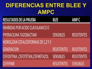 DIFERENCIAS ENTRE BLEE Y
AMPC
RESULTADOSDELAPRUEBA BLEE AMPC
INHIBIDASPORACIDOCLAVULANICOO
PIPERACILINATAZOBACTAM SENSIBLES RESISTENTES
HIDROLIZANCEFALOSPORINASDE1,2Y3
GENERACION RESISTENTES RESISTENTES
CEFOXITINA,CEFOTETAN,CEFMETAZOL SENSIBLES RESISTENTES
CEFEPIME RESISTENTES SENSIBLES
 