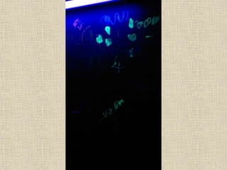 Taller de llum   colors -