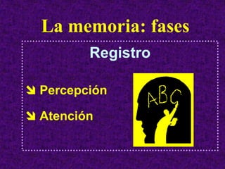 La memoria: fases
       Registro

Percepción

Atención
 