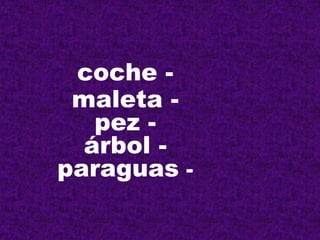 coche -
 maleta -
   pez -
  árbol -
paraguas -
 