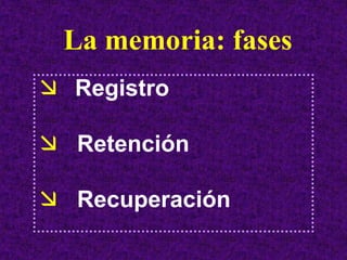 La memoria: fases
Registro

 Retención

 Recuperación
 