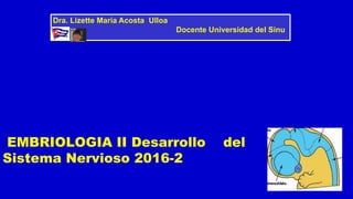 EMBRIOLOGIA II Desarrollo del
Sistema Nervioso 2016-2
Dra. Lizette María Acosta Ulloa
Docente Universidad del Sinu
 