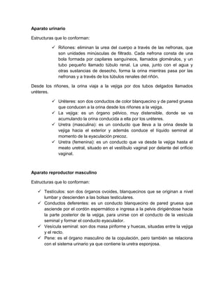 Aparato urinario

Estructuras que lo conforman:

           Riñones: eliminan la urea del cuerpo a través de las nefronas, que
            son unidades minúsculas de filtrado. Cada nefrona consta de una
            bola formada por capilares sanguíneos, llamados glomérulos, y un
            tubo pequeño llamado túbulo renal. La urea, junto con el agua y
            otras sustancias de desecho, forma la orina mientras pasa por las
            nefronas y a través de los túbulos renales del riñón.

Desde los riñones, la orina viaja a la vejiga por dos tubos delgados llamados
uréteres.

           Uréteres: son dos conductos de color blanquecino y de pared gruesa
            que conducen a la orina desde los riñones a la vejiga.
           La vejiga: es un órgano pélvico, muy distensible, donde se va
            acumulando la orina conducida a ella por los uréteres.
           Uretra (masculina): es un conducto que lleva a la orina desde la
            vejiga hacia el exterior y además conduce el líquido seminal al
            momento de la eyaculación precoz.
           Uretra (femenina): es un conducto que va desde la vejiga hasta el
            meato uretral, situado en el vestíbulo vaginal por delante del orificio
            vaginal.



Aparato reproductor masculino

Estructuras que lo conforman:

    Testículos: son dos órganos ovoides, blanquecinos que se originan a nivel
     lumbar y descienden a las bolsas testiculares.
    Conductos deferentes: es un conducto blanquecino de pared gruesa que
     asciende por el cordón espermático e ingresa a la pelvis dirigiéndose hacia
     la parte posterior de la vejiga, para unirse con el conducto de la vesícula
     seminal y formar el conducto eyaculador.
    Vesícula seminal: son dos masa piriforme y huecas, situadas entre la vejiga
     y el recto.
    Pene: es el órgano masculino de la copulación, pero también se relaciona
     con el sistema urinario ya que contiene la uretra esponjosa.
 