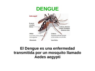 DENGUE
El Dengue es una enfermedad
transmitida por un mosquito llamado
Aedes aegypti
 