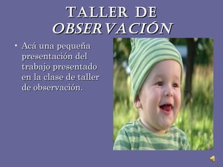 TALLER DE   OBSERVACIÓN ,[object Object]