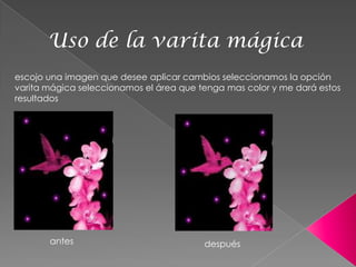 Uso de la varita mágica
escojo una imagen que desee aplicar cambios seleccionamos la opción
varita mágica seleccionamos el área que tenga mas color y me dará estos
resultados




       antes                             después
 
