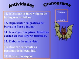 Actividades Cronograma Tercera  semana 12. Investigar la flora y fauna de los lugares turísticos. 13. Representar en graficos de barras la flora y fauna. 14. Investigar que pisos climáticos existen en esos lugares turísticos. 15. Elaborar la entrevista. 16. Realizar entrevistas a personas de la localidad. 17. Ilustrar las coplas 