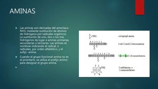 AMINAS
 Las aminas son derivadas del amoníaco
NH3, mediante sustitución de átomos
de hidrógeno por radicales orgánicos.
La sustitución de uno, dos o los tres
hidrógenos da lugar a aminas primarias,
secundarias o terciarias. Las aminas se
nombran indicando el radical, o
radicales, por orden alfabético, y el
sufijo -amina.
 Cuando el grupo funcional amina no es
el prioritario, se utiliza el prefijo amino-
para designar el grupo amina.

 