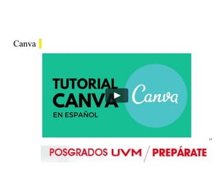 19
Canva
 