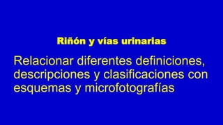 Riñón y vías urinarias
Relacionar diferentes definiciones,
descripciones y clasificaciones con
esquemas y microfotografías
 