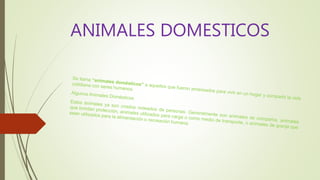 ANIMALES DOMESTICOS
 