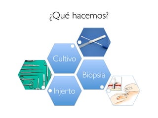 ¿Qué hacemos?
Injerto
Biopsia
Cultivo
 