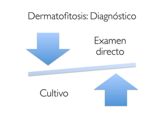 Dermatoﬁtosis: Diagnóstico
Examen
directo
Cultivo
 