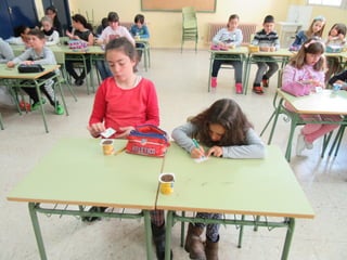 Taller de semilleros