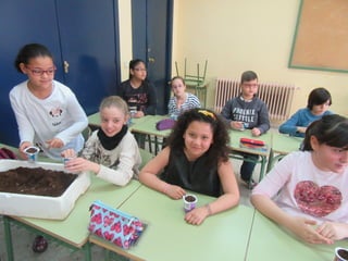 Taller de semilleros