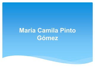 María Camila Pinto 
Gómez 
 