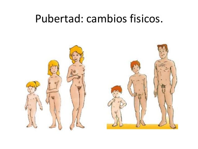 Aumentar la sensibilidad del miembro