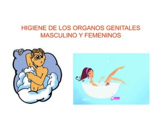 HIGIENE DE LOS ORGANOS GENITALES
MASCULINO Y FEMENINOS
 