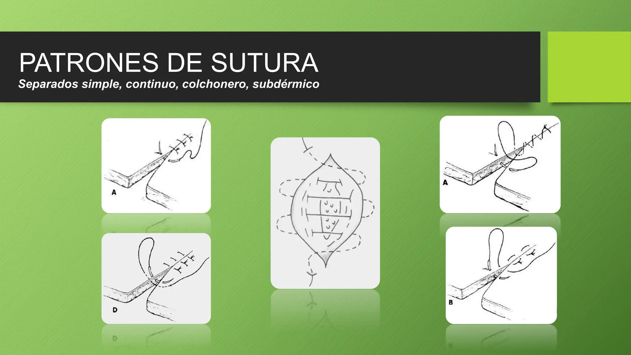 TALLER BASICO DE SUTURAS DR. MEMBREÑO: UNA GUIA PARA MEDICOS ...