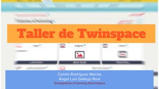 Taller de Twinspace
Camilo Rodríguez Macías
Ángel Luis Gallego Real
Embajadores eTwinning Extremadura
 