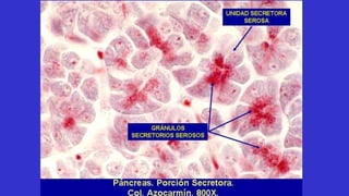 Taller digestivo 2016