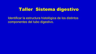 Taller Sistema digestivo
Identificar la estructura histológica de los distintos
componentes del tubo digestivo.
 