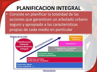PLANIFICACION INTEGRAL
• Consiste en planificar la totalidad de las
acciones que garanticen un arbolado urbano
seguro y apropiado a las características
propias de cada medio en particular
 