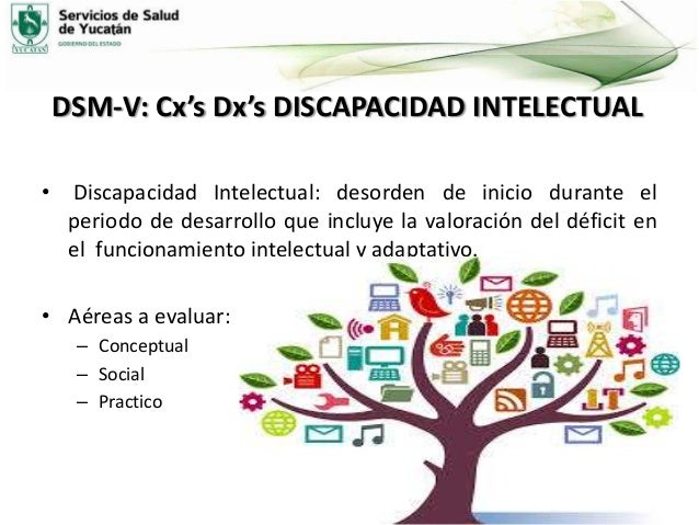 DISCAPACIDAD INTELECTUAL