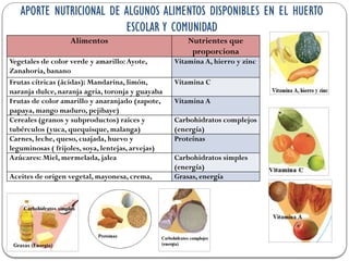 APORTE NUTRICIONAL DE ALGUNOS ALIMENTOS DISPONIBLES EN EL HUERTO
ESCOLAR Y COMUNIDAD
Alimentos Nutrientes que
proporciona
Vegetales de color verde y amarillo:Ayote,
Zanahoria, banano
Vitamina A, hierro y zinc
Frutas cítricas (ácidas): Mandarina, limón,
naranja dulce, naranja agria, toronja y guayaba
Vitamina C
Frutas de color amarillo y anaranjado (zapote,
papaya, mango maduro, pejibaye)
Vitamina A
Cereales (granos y subproductos) raíces y
tubérculos (yuca, quequisque, malanga)
Carbohidratos complejos
(energía)
Carnes, leche, queso, cuajada, huevo y
leguminosas ( frijoles, soya, lentejas, arvejas)
Proteínas
Azúcares: Miel, mermelada, jalea Carbohidratos simples
(energía)
Aceites de origen vegetal, mayonesa, crema, Grasas, energía
 