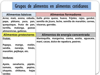 Grupos de alimentos en alimentos cotidianos
Alimentos básicos Alimentos formadores
Arroz, maíz, avena, cebada,
papa, plátano, yuca, pan,
quequisque, fruta de pan,
tortilla, malanga, pastas
alimenticias, galletas.
Gallo pinto queso, huevo, frijoles, rojos, gandul,
semilla de jícaro, leche, semilla de marañón, carnes,
vísceras, garrobo.
Alimentos protectores Alimentos de energía concentrada
Frutas:
Papaya, mango, melón,
sandía, naranja, limón,
marañón, pejibaye, etc.
Verduras:
Ayote, zanahoria, pipián,
tomate, repollo, pepino,
chayote, chiltoma, hojas
verdes-
Mantequilla, margarina, crema, aceite, aguacate,
maní, cacao, dulce de rapadura, postres.
 